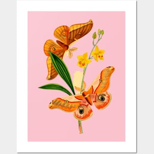 Butterflies and Flowers Posters and Art